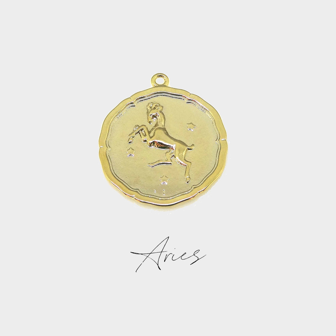 Zodiac Coin Necklace