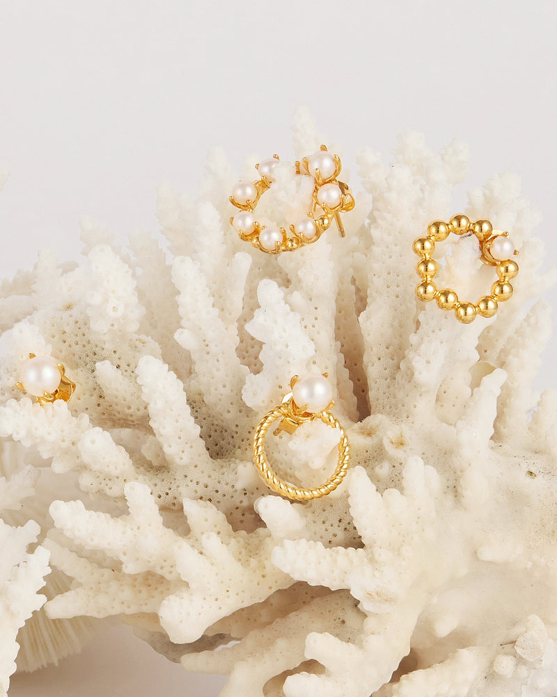 EAR CHARMS