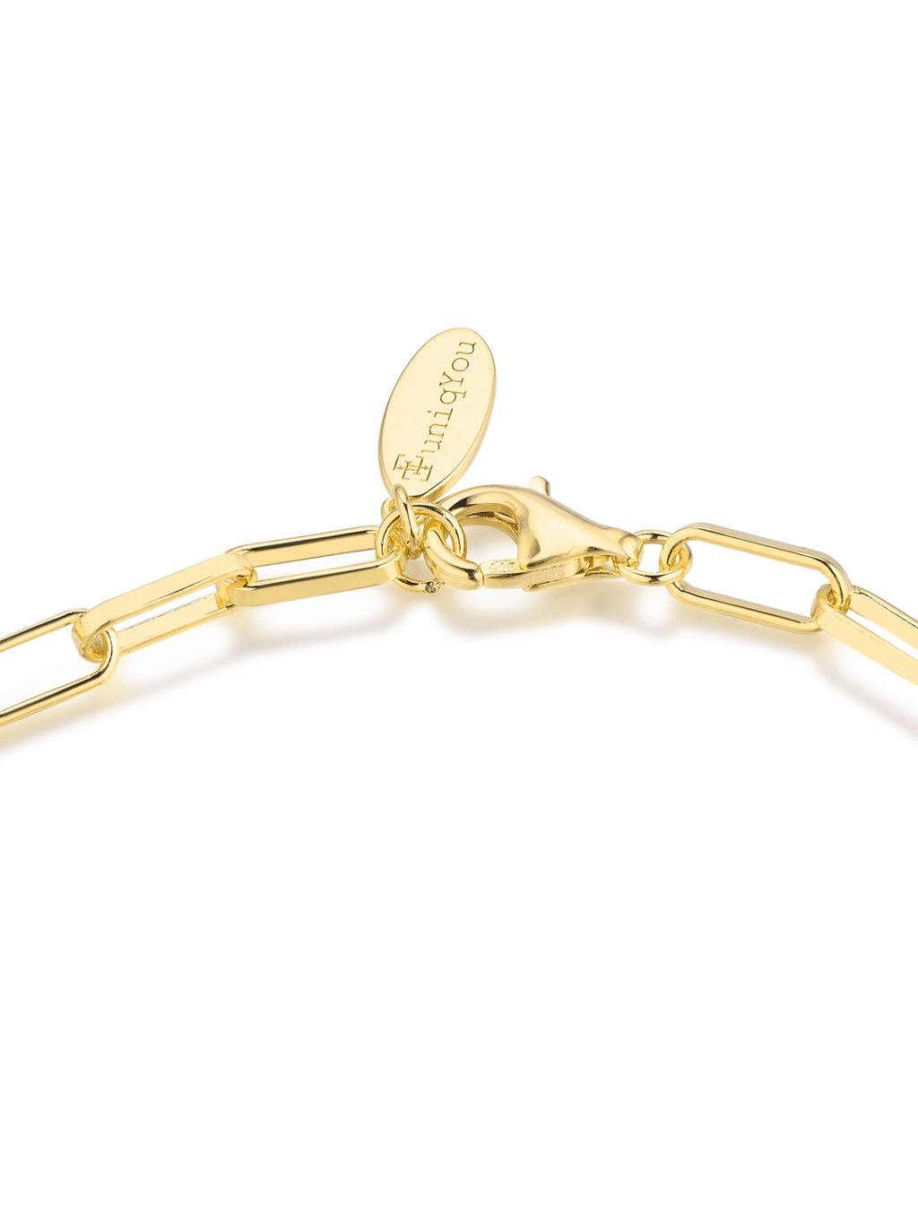 Paperclip Bracelet