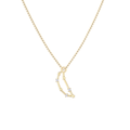 Capricorn Star Constellation Necklace