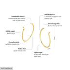 Nova Ear Hoop Charms