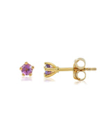 February Birthstone Ear Studs