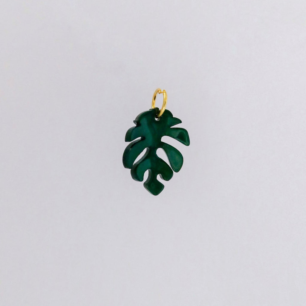 Monstera Charm