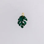 Monstera Charm