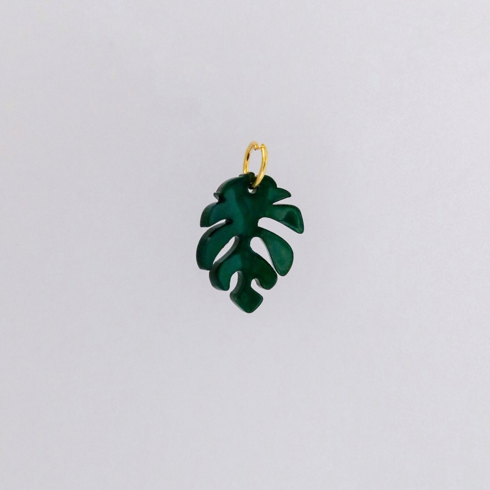 Monstera Charm